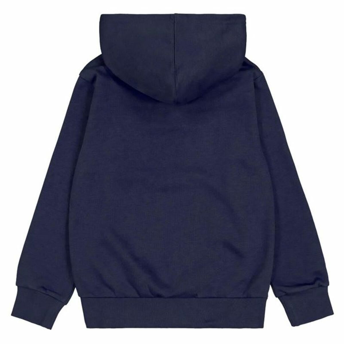 Men’s Hoodie Champion Blue Navy Blue