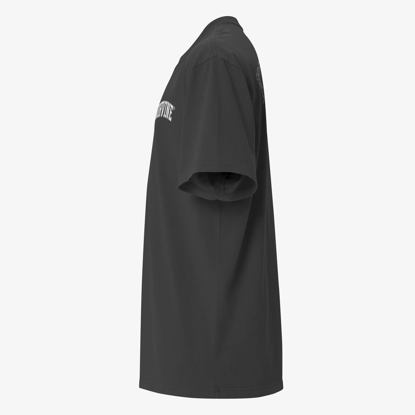 Athletic Block Heavy Oversize Premium Tee-4